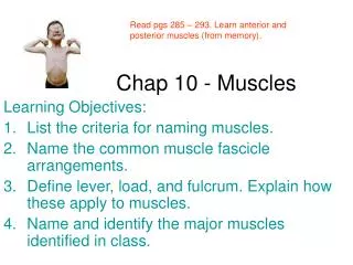 Chap 10 - Muscles