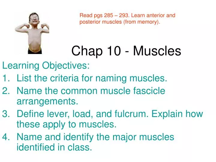 chap 10 muscles