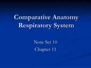 Comparative Anatomy Respiratory System