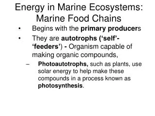 Energy in Marine Ecosystems: Marine Food Chains