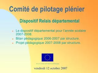 Comité de pilotage plénier Dispositif Relais départemental