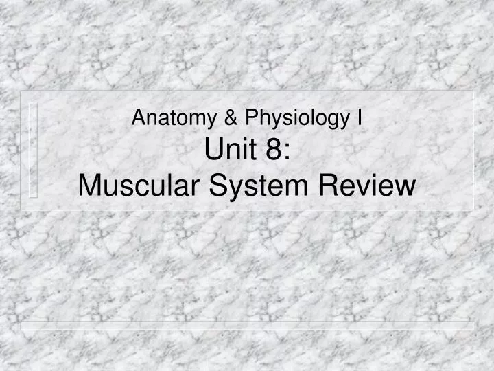 anatomy physiology i unit 8 muscular system review