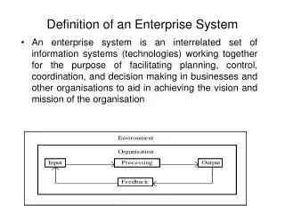 Definition of an Enterprise System