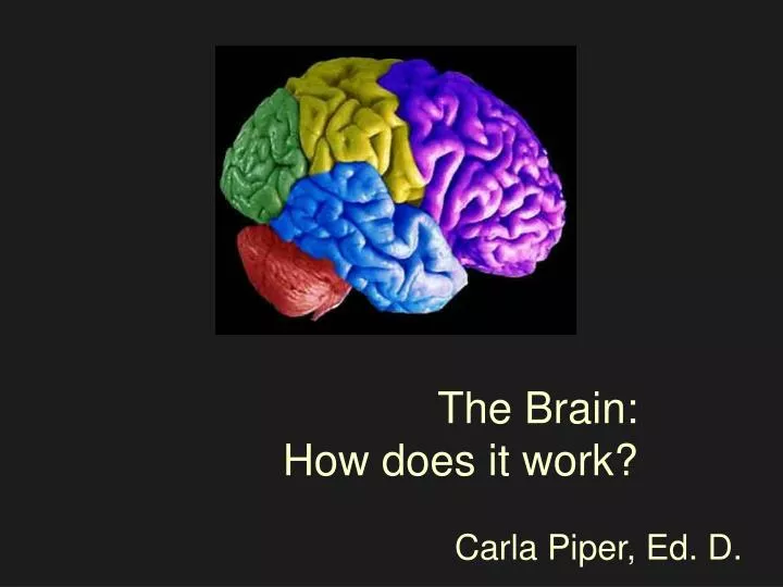 the brain how does it work