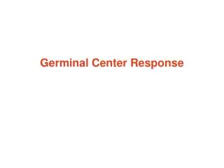Germinal Center Response
