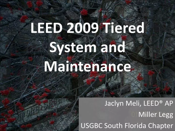 leed 2009 tiered system and maintenance