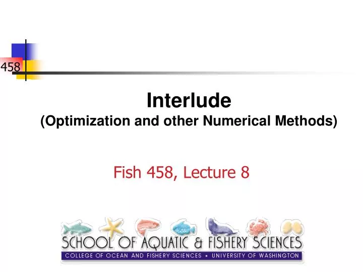interlude optimization and other numerical methods
