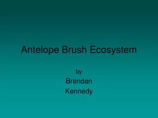 Antelope Brush Ecosystem