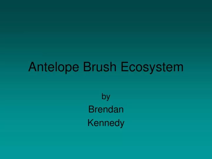 antelope brush ecosystem