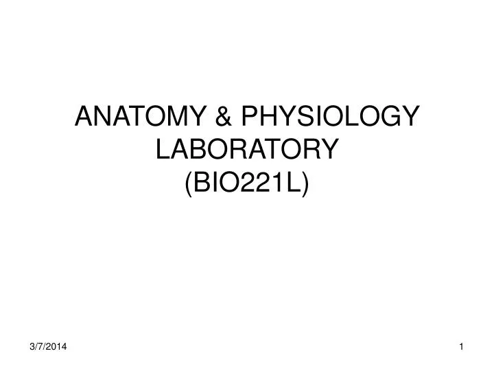 anatomy physiology laboratory bio221l