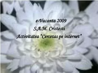 e-Vacanta 2009 S.A.M. Cristesti Activitatea “Cercetas pe internet”
