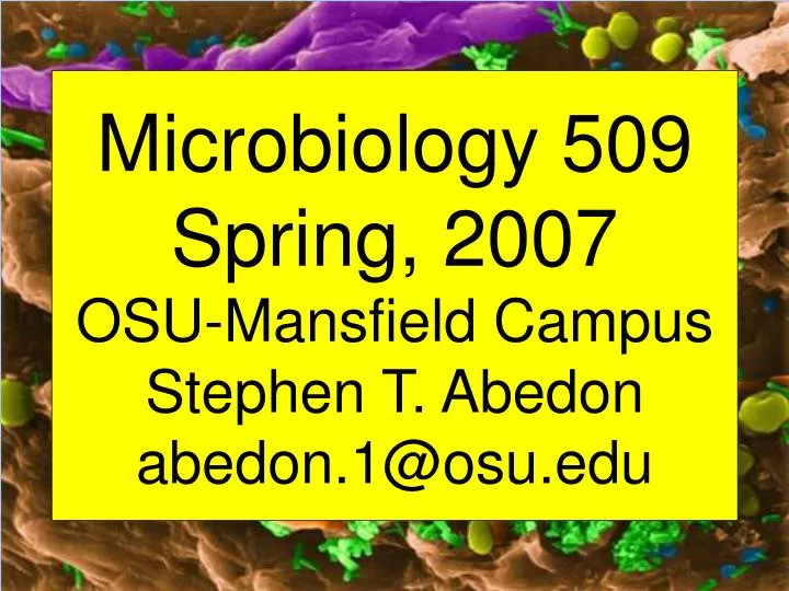 microbiology 509 spring 2007 osu mansfield campus stephen t abedon abedon 1@osu edu