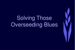 Solving Those Overseeding Blues