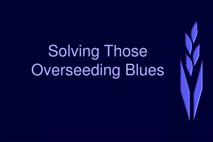solving those overseeding blues