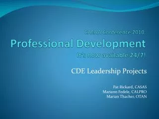CAEAA Conference 2010: Professional Development It’s now available 24/7!