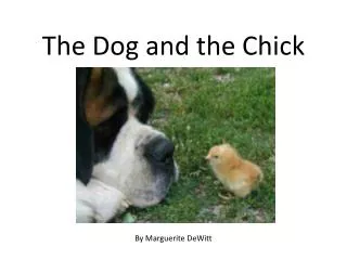 The Dog and the Chick