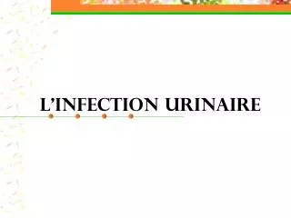 L’INFECTION URINAIRE