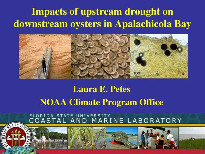 impacts of upstream drought on downstream oysters in apalachicola bay