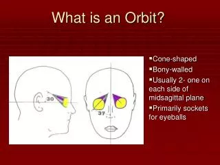 What is an Orbit?