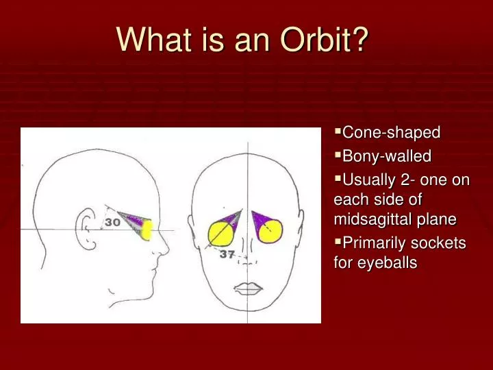 what is an orbit