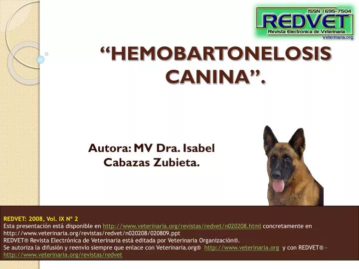 hemobartonelosis canina