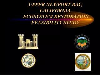 UPPER NEWPORT BAY, CALIFORNIA ECOSYSTEM RESTORATION FEASIBILITY STUDY