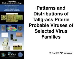 Patterns and Distributions of Tallgrass Prairie Probable Viruses of Selected Virus Families