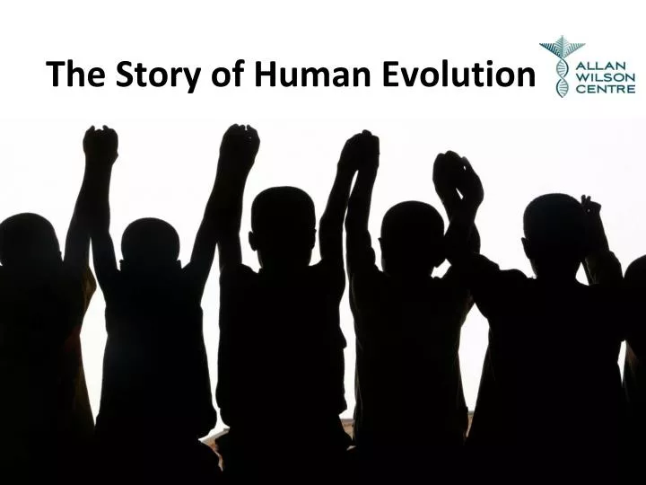 the story of human evolution