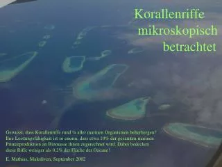 Korallenriffe mikroskopisch betrachtet