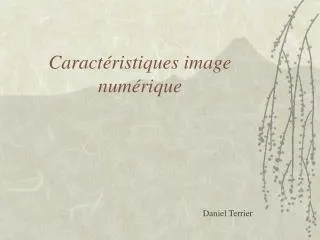 caract ristiques image num rique