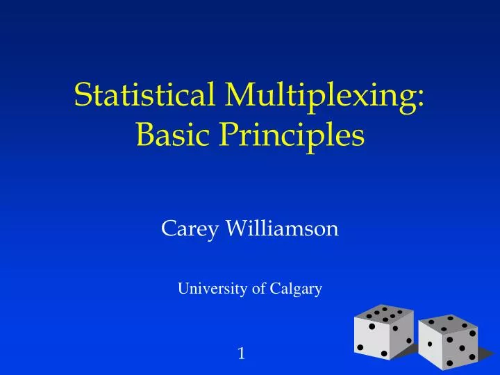 statistical multiplexing basic principles