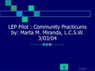 LEP Pilot : Community Practicums by: Marta M. Miranda, L.C.S.W. 3/03/04