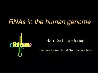 RNAs in the human genome