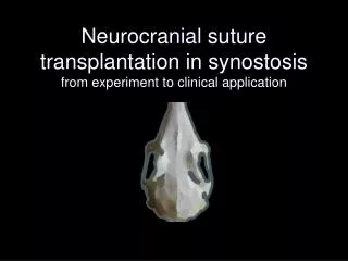 Neurocranial suture transplantation in synostosis from experiment to clinical application