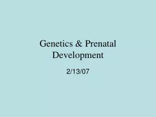 Genetics &amp; Prenatal Development