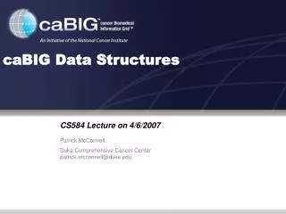 caBIG Data Structures