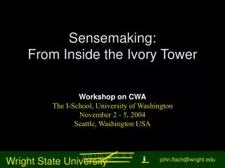 Sensemaking: From Inside the Ivory Tower