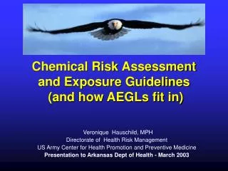 Chemical Risk Assessment and Exposure Guidelines (and how AEGLs fit in)