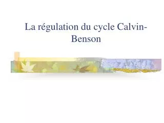 la r gulation du cycle calvin benson