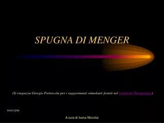 spugna di menger