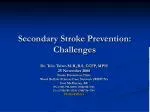 Secondary Stroke Prevention: Challenges - slide 1