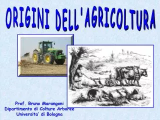 ORIGINI DELL'AGRICOLTURA
