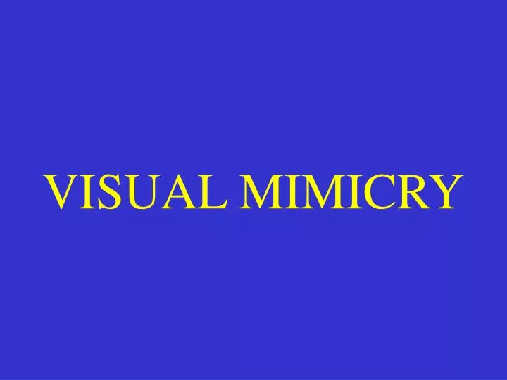visual mimicry