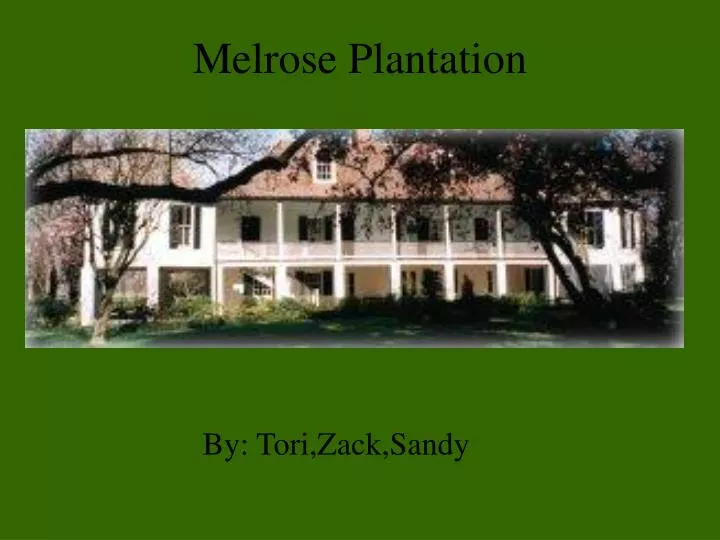 melrose plantation