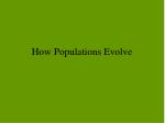 How Populations Evolve - slide 1