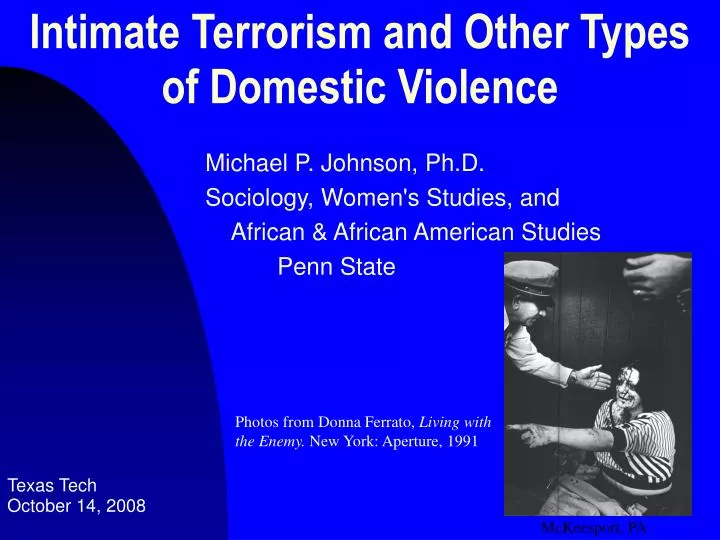 intimate terrorism and other types of domestic violence
