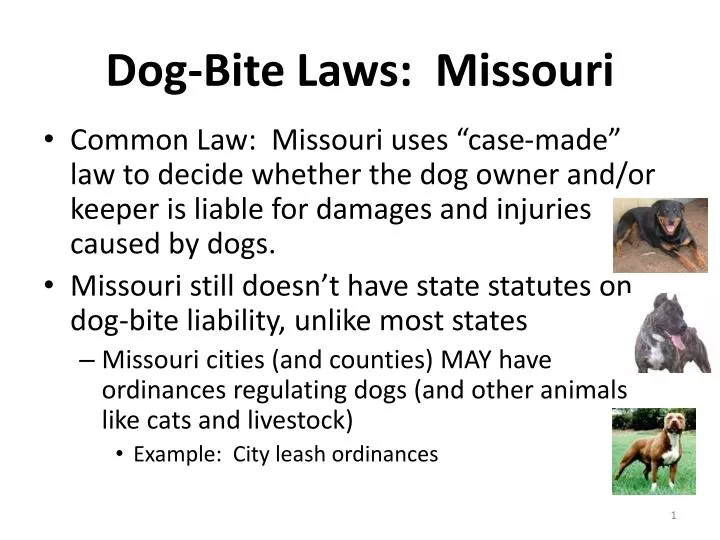 dog bite laws missouri