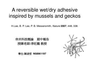 A reversible wet/dry adhesive inspired by mussels and geckos