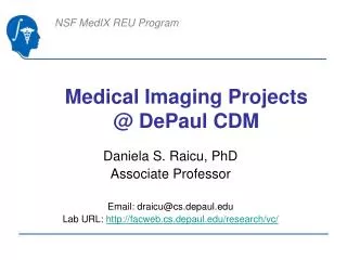 Medical Imaging Projects @ DePaul CDM