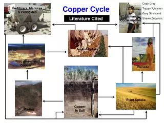 Copper Cycle